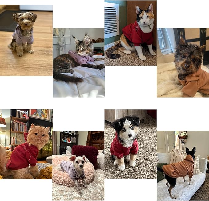 TAPBULL Dog Dresses, Fashionable Pet Dog Sweatshirt Clothes in Light Colors, Cute Cat Birthday Dress Outfit (Pink/Purple/Coffee 3-Pack), Small