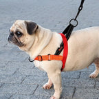 Didog No Pull Dog Harness with Soft Padded Handle, Quick Fit & Lightweight Adjustable Vest Harness, Easy for Training Walking for Small & Medium and Large Dogs(Green,M)