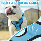 PUPTECK No Pull Dog Harness Small Sized Dog, Adjustable Reflective Escape Proof Easy Control, Comfortable Soft Padded Step in Pet Vest Harness, Blue, XS