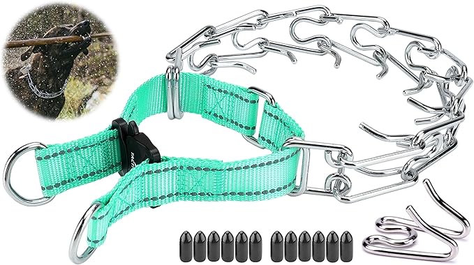 Dog Training Collar with Quick-Release Buckle, Adjustable Stainless Steel Collar for Small Medium Large Dogs (Teal, M/L Neck Girth 14.5"-18.6")