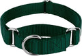 Country Brook Petz - Martingale Dog Collar - Heavy-Duty Training Collar with No Buckle - Service Dog Collar for All Pups - 10+ Cool Colors (Green, 1 Inch, Extra Large)