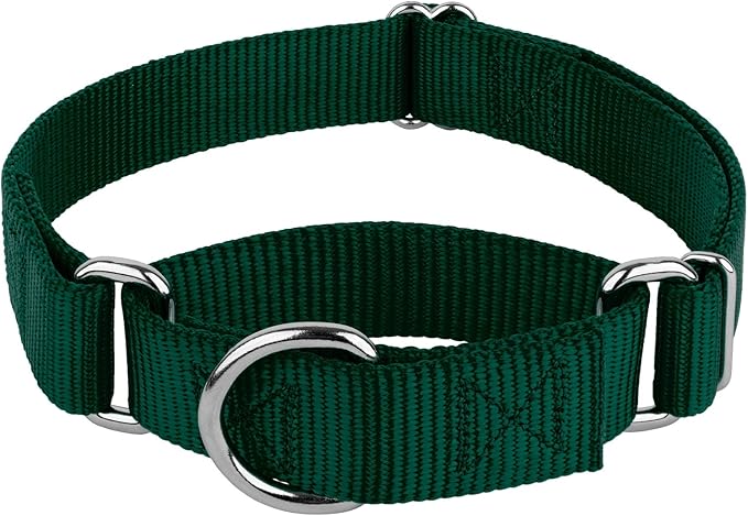 Country Brook Petz - Martingale Dog Collar - Heavy-Duty Training Collar with No Buckle - Service Dog Collar for All Pups - 10+ Cool Colors (Green, 3/4 Inch, Small)