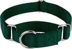 Country Brook Petz - Martingale Dog Collar - Heavy-Duty Training Collar with No Buckle - Service Dog Collar for All Pups - 10+ Cool Colors (Green, 3/4 Inch, Small)