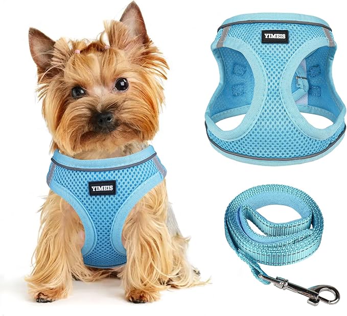 Dog Harness for Small Dogs and Leash Set, Honeycomb Grid, Reflective Lightweight Harness & Anti-Twist Pet Lead Multi Color, Size: XS-S-M. (S, Sky Blue)