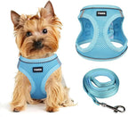 Dog Harness for Small Dogs and Leash Set, Honeycomb Grid, Reflective Lightweight Harness & Anti-Twist Pet Lead Multi Color, Size: XS-S-M. (S, Sky Blue)