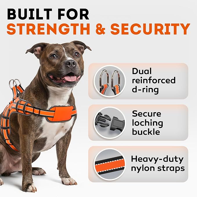 Dog Harness for Medium Dogs Back D-Ring Control No Choking Pressure-Free Chest Design Comfortable Padded Adjustable Reflective Vest Harness for Daily Walks Training Easy Control Outdoor Use Secure Fit