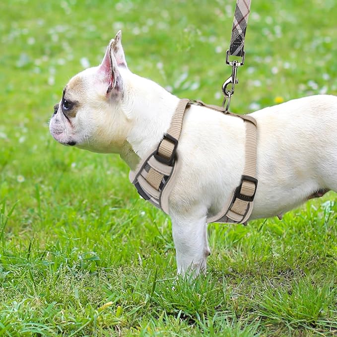PUPTECK Small Dog Harness and Leash Set, No Pull Adjustable Puppy Cat Harness, Reflective Soft Mesh Pet Vest Small Sized, Beige, M
