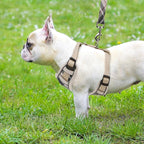 PUPTECK Small Dog Harness and Leash Set, No Pull Adjustable Puppy Cat Harness, Reflective Soft Mesh Pet Vest Small Sized, Beige, M