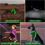 ChalkLit Light Up Dog Harness, No Pull Led Dog Harness Glow-in-The-Dark for Night Walking, USB Rechargeable Lighted Safety Vest for Medium Large Dogs, Adjustable Soft Mesh Fully Illuminated(Green, L)