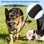 BARKLESS No Pull Dog Head Collar for Gentle Training Walking, Soft Padded Head Halter with Collar Safety Clip, Comfortable Fit Muzzle Leash with Reflective Strap for Medium Large Dog (Grey, M)