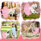 Dog Tutu Tulle Tutu for Dogs Small Large Medium Puppy Dress Ballerina Costume Skirt for Holiday Puppy Cats Bunny Pet Outfit Birthday Wedding Party Photo Prop Supplies(Pink)