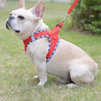 Mercano Soft Mesh Dog Harness and Leash Set, No-Chock Step-in Reflective Breathable Lightweight Easy Walk Vest Harnesses with Safety Buckle for Small Dogs, Cats (Red, XXS)