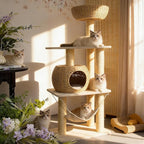 Wood Cat Tree for Indoor Cats, 52.4 Inch Tall, with Scratching Post and Hammock