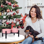 Raised Ceramic Dog Bowl Set - Elevated Double Dishes with Stainless Steel Stand - Food and Water Bowls for Small to Medium Dogs - Each Holds 2 Cups (28.75 fl oz) - Pink