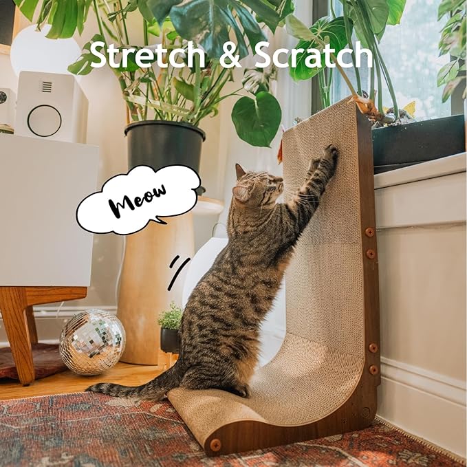 Necoichi Cardboard Cat Scratcher Wall for Indoor Cats - Cat Scratching Board, Cat Scratch Pad Lounger with Reversible Usability and Extra Comfort for Lounge, Curved (Dark Cherry, Regular)