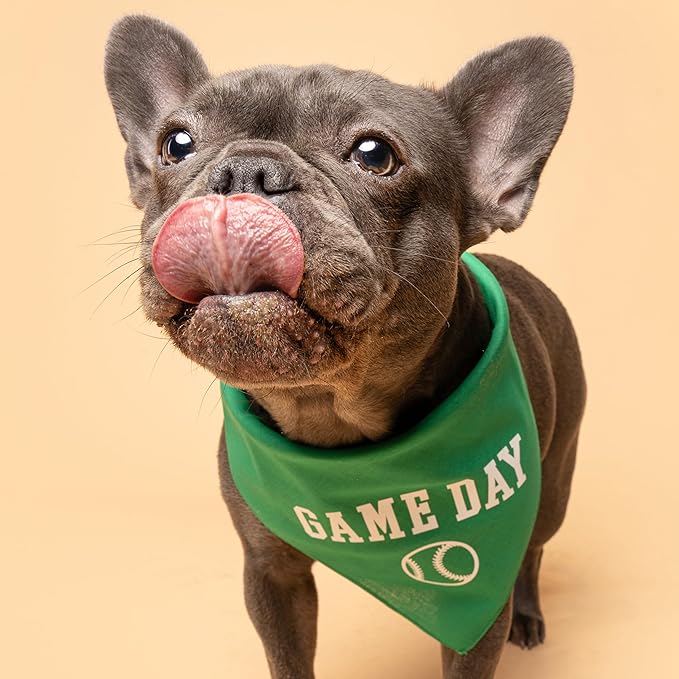 Game Day Dog Bandana | 100% Cotton Adjustable Triangle | Made in USA | Baseball| Sports | Biggest Fan | Game Day | One Size | Camo (1054)