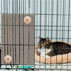 2 Pack Cat Scratcher Cat Scratching Cardboard Post for Cage 12" x 8" Wall Mounted Scratcher Board for Indoor with Cloud-Shaped Holders Double-Sided Usability