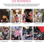Dog Harness for Small Dogs Harness and Leash Set, Honeycomb Grid, Reflective Lightweight Harness & Anti-Twist Pet Lead (Multi Color, Size: XS-S-M) (XS, Rose red)
