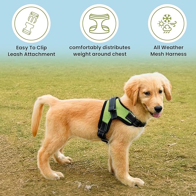 No Pull Reflective Adjustable Dog Harness With Handle- Comfortable Soft All Weather Mesh, Easy On Puppy Harness For Small Medium and Large Dogs (Green) X-Large