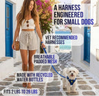 EcoBark Step in Dog Harness - Reflective Teacup Breed Soft Luxurious Mesh Dog Harnesses for XXS, XS, & Small Breed Dogs - Eco-Friendly Secure Halter No Pull Adjustable Pet Vest (Royal Blue, XXS)