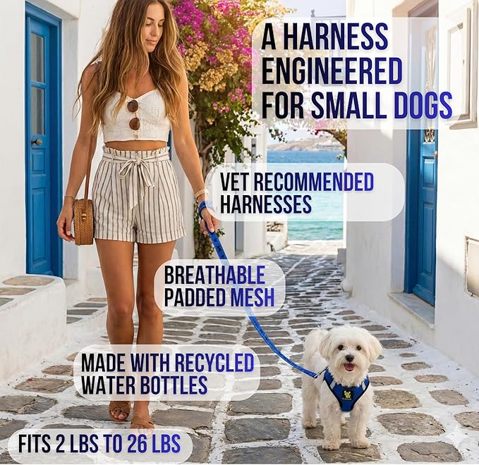 EcoBark Step in Dog Harness - Reflective Teacup Breed Soft Luxurious Mesh Dog Harnesses for XXS, XS, & Small Breed Dogs - Eco-Friendly Secure Halter No Pull Adjustable Pet Vest (Royal Blue, XXS)