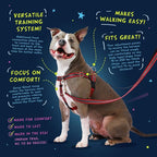 2 Hounds Design Freedom No Pull Dog Harness, Adjustable Harness and Leash Set, Easy Walking & Comfortable Control, Fits Small, Medium & Large Dogs, Solid Colors, Made in USA, 5/8" SM, Star Sprangled