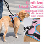rabbitgoo Dog Harness No Pull with 2 Leash Clips, Adjustable Soft Padded, Reflective Oxford No Choke Pet Vest with Easy Control Handle for Small Dogs, Pink & Blue, S