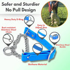 Martingale Collar for Dogs, Biothane, Stainless Steel Hardware, No Pull, Made in The USA, Professional Grade, XXS, Light Blue