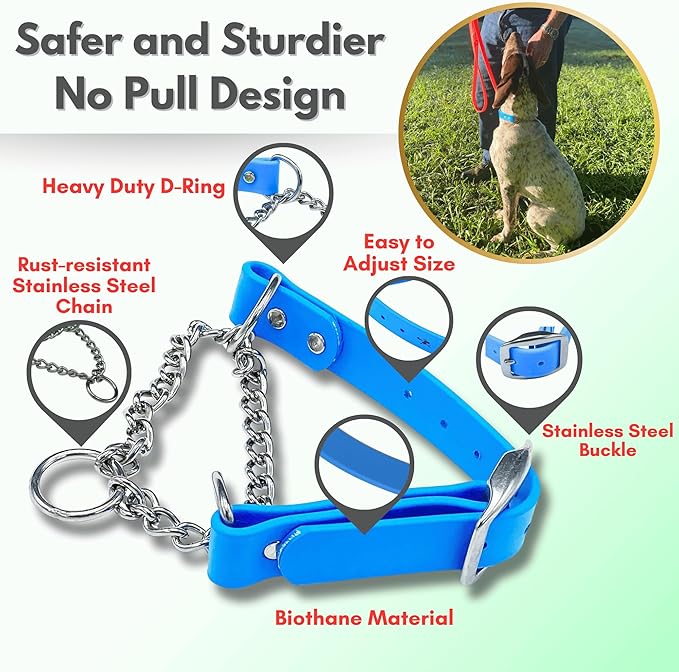 Martingale Collar for Dogs, Biothane, Stainless Steel Hardware, No Pull, Made in The USA, Professional Grade, XXS, Light Blue