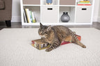 Petlinks Scratchers Choice Flat Corrugated Carboard Scratch Pad for Cats & Kittens, Catnip Infused & Reversible, Promotes Healthy Nail Growth - Brown, Single Wide