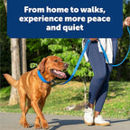 PetSafe Soft Point Training Collar - Comfortable No-Pull Adjustable Quick-Release Collar with Removable Soft Rubber Points - Pain-Free Training for Better Leash Manners - Large - Blue