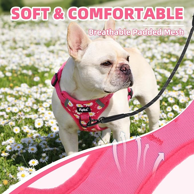 PUPTECK No Pull Dog Harness Small Sized Dog, Adjustable Reflective Escape Proof Easy Control, Comfortable Soft Padded Step in Pet Vest Harness, Fuschia, S