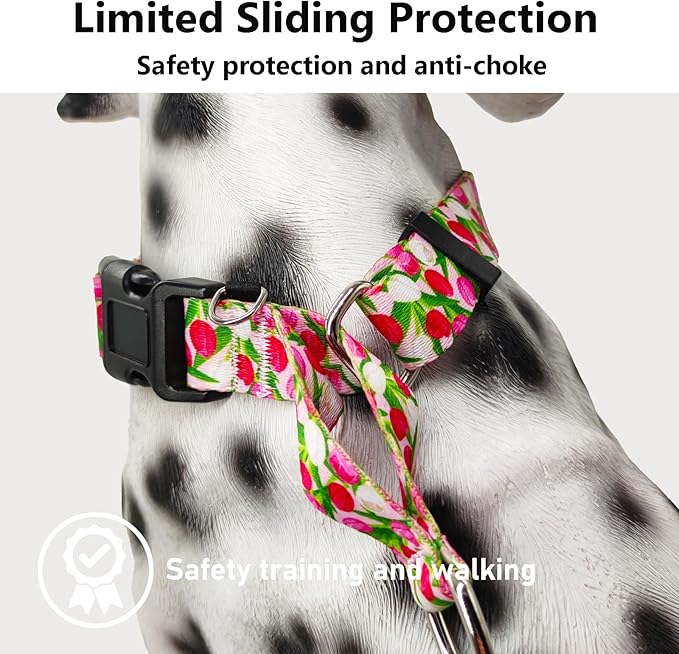 Martingale Collar for Dogs with Buckle Floral No Pull Adjustable Nylon Limited Slip Training Dog Collars (Pink Tulip, Small)