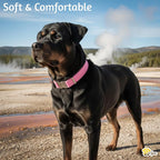 ADITYNA Pink Leather Dog Collar with Metal Buckle - Heavy-Duty, Adjustable for Large & Extra Large Girl Dogs - Walking & Training (Pink, Fits 19-30" Necks)