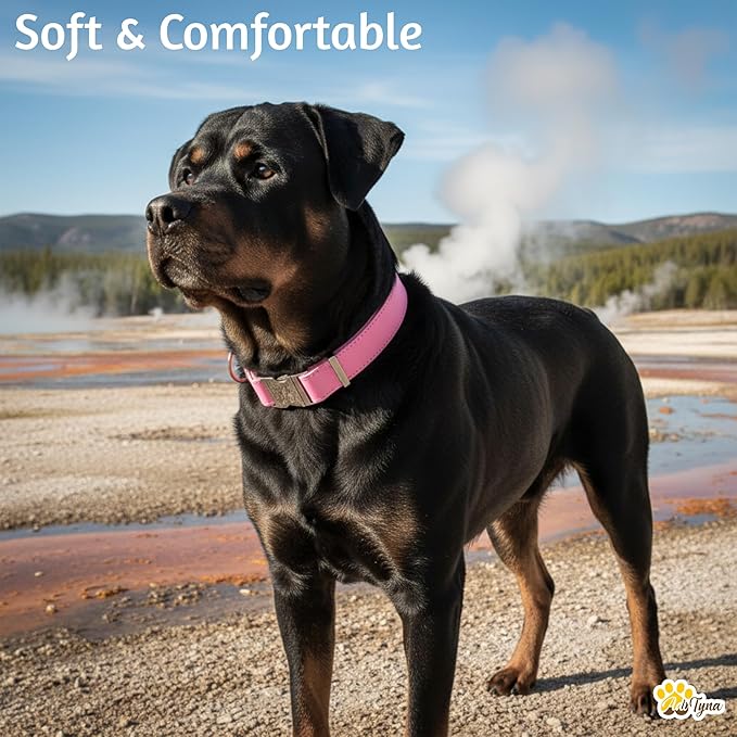 ADITYNA Pink Leather Dog Collar with Metal Buckle - Heavy-Duty, Adjustable for Large & Extra Large Girl Dogs - Walking & Training (Pink, Fits 19-30" Necks)