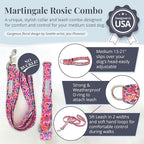 Lucky Love Dog Martingale Dog Collar & Leash - Adjustable, No-Slip, Durable, Comfortable, Soft Webbing, & Stylish Patterned Collar & Leash Set for Male and Female Dogs - Rosie Combo, Medium