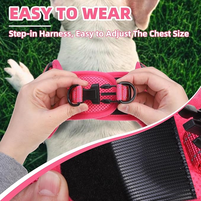 PUPTECK No Pull Dog Harness Small Sized Dog, Adjustable Reflective Escape Proof Easy Control, Comfortable Soft Padded Step in Pet Vest Harness, Fuschia, S