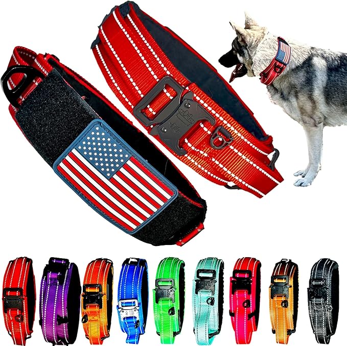 2-Inch Wide Tactical Dog Collar with Control Handle, Adjustable for Medium & Large Dogs, Military Style with Heavy-Duty Metal Buckle, USA Flag Patch & Customizable Name Plate, Training & Everyday Use