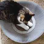 Nest Cat Scratcher Lounge Bed (Pearl White Assembled Bundle)