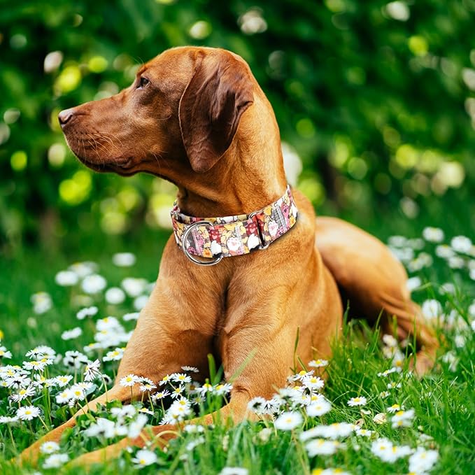 Heavy Duty 1.5 Inch Martingale Collar for Dogs - Escape Proof No Pull for Large Dogs, Wide Adjustable Slip Training Collar (Dog paw M)