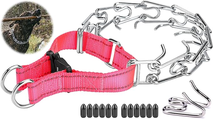 Dog Training Collar with Quick-Release Buckle, Adjustable Stainless Steel Collar for Small Medium Large Dogs (Pink, S Neck Girth 11.2"-14.5")