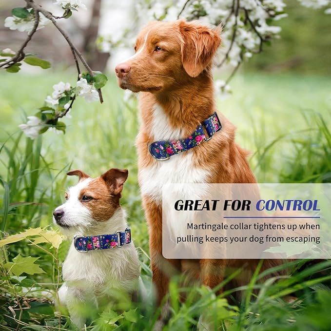 Hikiko Martingale Collar for Dogs Girl Dog Collars for Small Medium Large Dogs with Cute Female No Pull Dog Collar（Blue Rose,Small）