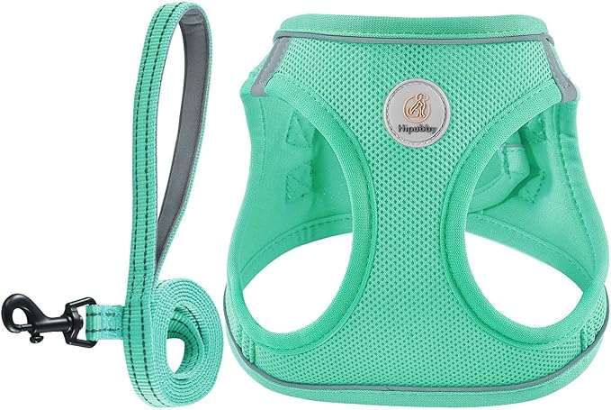 Hipubby Dog Harness and Leash Set, No Pull Soft Mesh Puppy Harness for Small Medium Dogs, Cats - Step in Reflective Breathable Lightweight Vest Harness for Walking, Training - Green, S