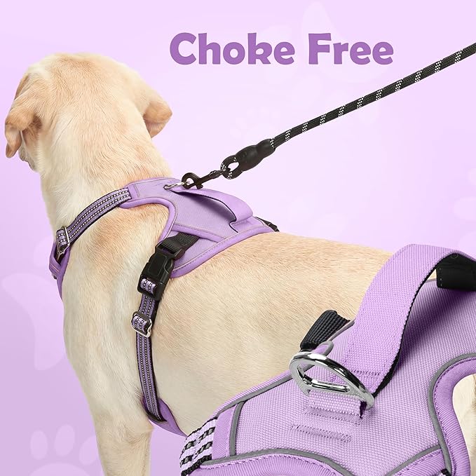 Funfox Dog Harness No Pull, Adjustable Pet Vest Harness, Super Soft Material with Vertical Handle Easy Control, Reflective Night Walking, 2 Leash Clips for Small Sized Dogs, Purple, S