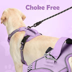 Funfox Dog Harness No Pull, Adjustable Pet Vest Harness, Super Soft Material with Vertical Handle Easy Control, Reflective Night Walking, 2 Leash Clips for Small Sized Dogs, Purple, S