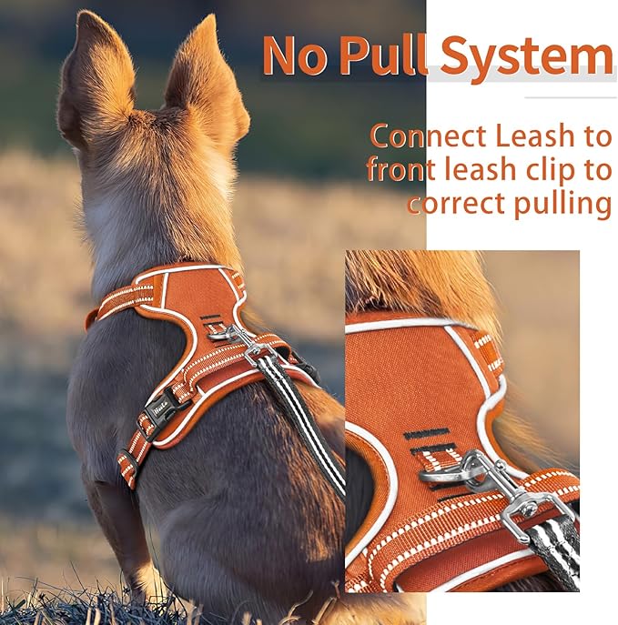 HEELE Dog Harness for Medium Dogs No Pull Dog Vest Harness with Soft Padded Handle Reflective for Outdoor Training, Pumpkin Orange, M