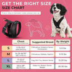Gooby Comfort X Head In Harness - Black, Large - No Pull Small Dog Harness, Patented Choke-Free X Frame - Perfect on the Go Dog Harness for Medium Dogs No Pull or Small Dogs for Indoor and Outdoor Use