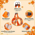 BEAUTYZOO Step in Dog Harness and Leash Set, Reflective Dog Harness No Pull No Choke Puppy Harness for Extra Small Dogs Cats, Soft Padded Mesh Vest Harnesses for Girl and Boy Pets, Orange Plaid M