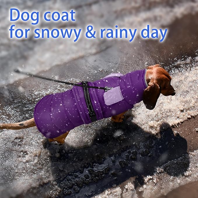 MIGOHI Waterproof Dog Winter Coat - Thick Dog Fleece Jacket with Reflective Strips, Warm Winter Snowsuit Sweater for Small Dogs,Machine Washable,French Bulldog,M,Purple