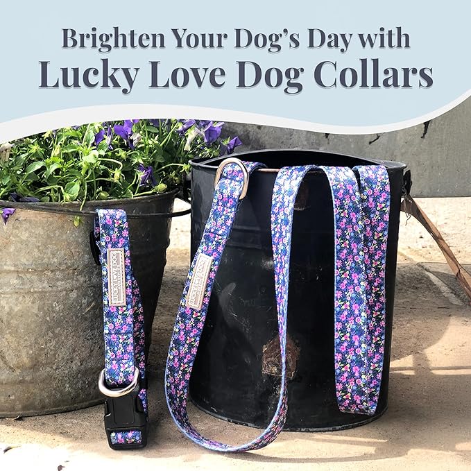 Lucky Love Dog Wide Dog Collar - Adjustable, Durable, Soft Webbing, & Comfortable 1.5 inch Wide Collar for Dogs Male and Female with Strong Buckle - Primrose, X-Large